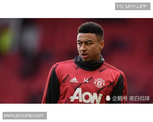 赫根足球明星阵容揭秘及其在足球界的影响力分析