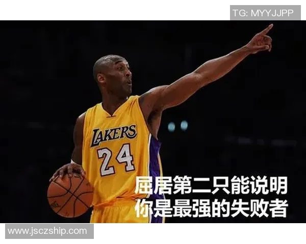 篮球明星的粉丝数目如何影响他们的职业生涯与商业价值分析