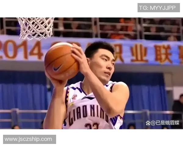 篮球明星退役背后的故事与原因探讨揭秘职业生涯的选择与人生转折